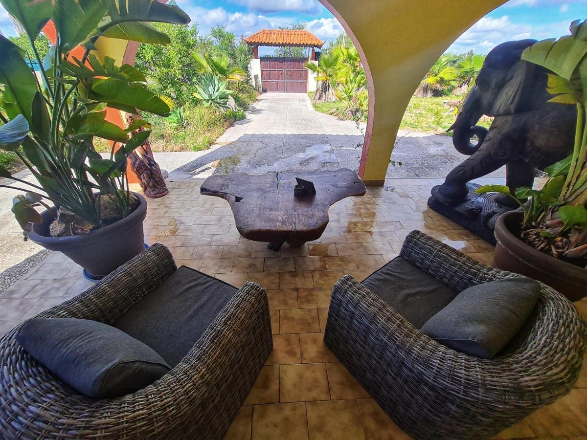Suite Garden View